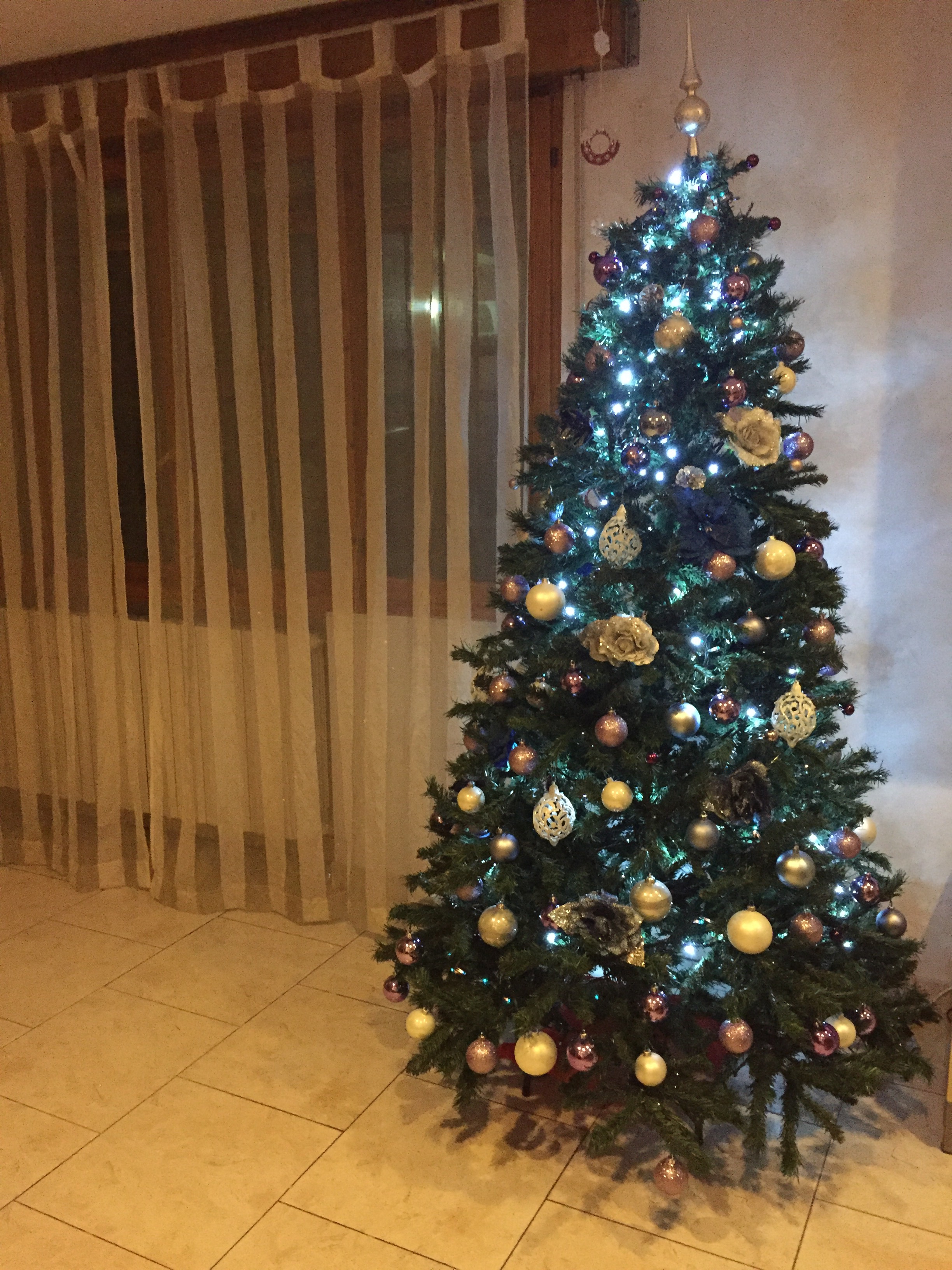 Oviesse Decorazioni Natalizie.Il Mio Albero Di Natale A Bologna Lecosedigiulia